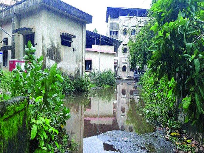 Road maintenance in Alibaug | अलिबागमधील रस्त्यांची दुरवस्था Road maintenance in Alibaug | अलिबागमधील रस्त्यांची दुरवस्था