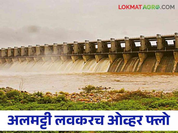 Almatti Dam: Rapid rise in Almatti dam water Capacity, how much percentage of water storage in the dam | Almatti Dam: अलमट्टीच्या पाण्यात झपाट्याने वाढ, धरणात किती टक्के पाणीसाठा Almatti Dam: Rapid rise in Almatti dam water Capacity, how much percentage of water storage in the dam | Almatti Dam: अलमट्टीच्या पाण्यात झपाट्याने वाढ, धरणात किती टक्के पाणीसाठा