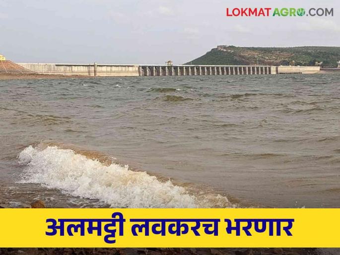 Almatti Dam: how much percentage of water in Almatti Dam? How much water came into these major dams in western Maharashtra.. read in detail | Almatti Dam: अलमट्टी धरण किती टक्के भरले? पश्चिम महाराष्ट्रातील या प्रमुख धरणांत आलं किती पाणी.. वाचा सविस्तर Almatti Dam: how much percentage of water in Almatti Dam? How much water came into these major dams in western Maharashtra.. read in detail | Almatti Dam: अलमट्टी धरण किती टक्के भरले? पश्चिम महाराष्ट्रातील या प्रमुख धरणांत आलं किती पाणी.. वाचा सविस्तर