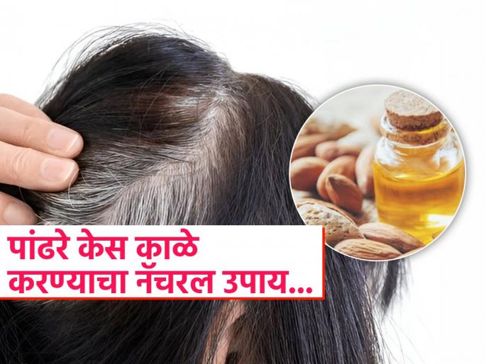 Mix this thing in almond oil and use to make white hair black | पांढऱ्या केसांमुळे वैतागलात? बदामाच्या तेलात 'ही' एक गोष्ट घालून लावा, मग बघा कमाल