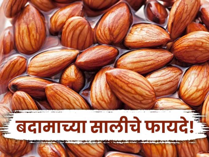 With or without peel expert told the best way to eat almond | काही लोकांसाठी खूप फायदेशीर ठरते बदामाची साल, एक्सपर्टने सांगितली खाण्याची योग्य पद्धत! With or without peel expert told the best way to eat almond | काही लोकांसाठी खूप फायदेशीर ठरते बदामाची साल, एक्सपर्टने सांगितली खाण्याची योग्य पद्धत!