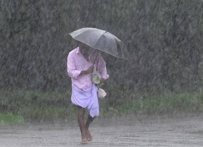 Delightful: Timely and plenty of rain this year in the country! | आल्हाददायक : देशात यंदा पाऊस वेळेवर आणि भरपूर! Delightful: Timely and plenty of rain this year in the country! | आल्हाददायक : देशात यंदा पाऊस वेळेवर आणि भरपूर!