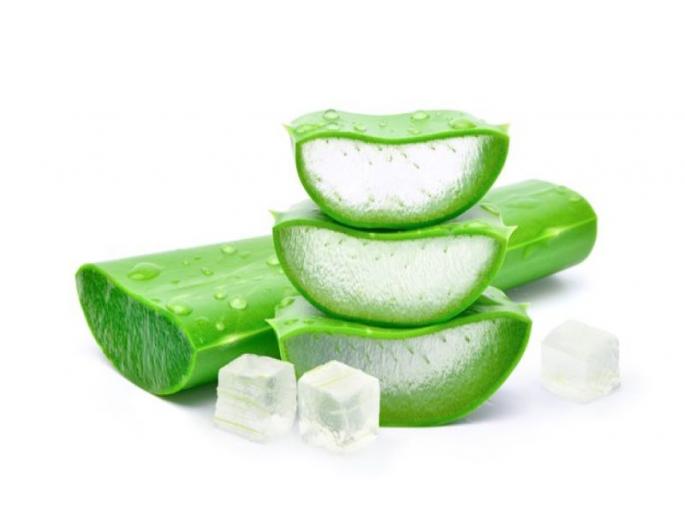 Dandruff? Why take this expensive aloe vera gel, fresh aloe vera home remedy .. | केसात कोंडा झालाय? महागडे कोरफड जेल कशाला हा घ्या ताज्या कोरफडीचा सोपा उपाय..