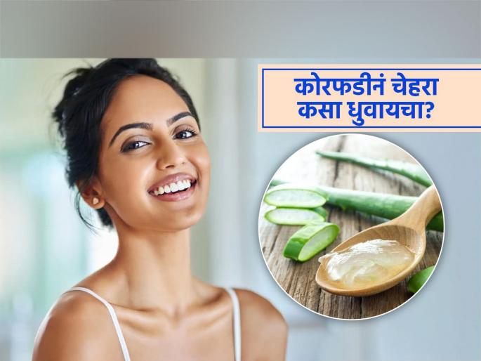 How to wash face with aloe vera and its benefits | कोरफडीच्या गरानं धुवा चेहरा, ४ पद्धतींनी मिळवा एक रुपया खर्च न करता चमकदार चेहरा