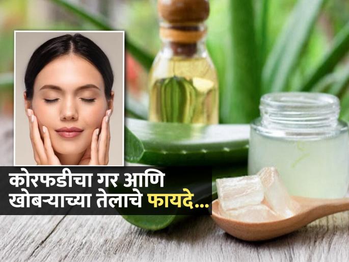 Benefits of applying aloe vera, honey and coconut oil on face | वाढत्या वयाची लक्षणं, पिंपल्स दूर करण्यासाठी कोरफडीच्या गरात काय मिक्स करून लावाल?