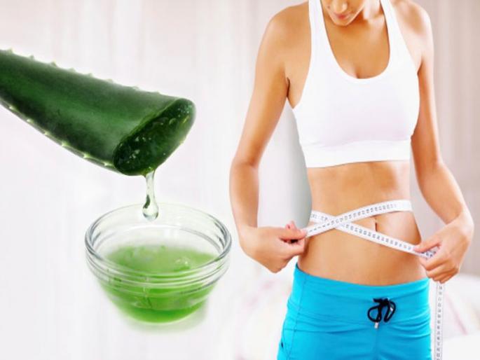 Aloe vera is extremely effective in reducing obesity, These five ways will help to loose weight | वजन कमी करण्यासाठी रामबाण उपाय अॅलोवेरा, कसा कराल वापर? Aloe vera is extremely effective in reducing obesity, These five ways will help to loose weight | वजन कमी करण्यासाठी रामबाण उपाय अॅलोवेरा, कसा कराल वापर?