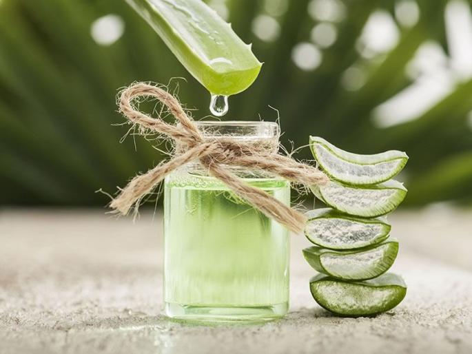 Hair falls problem out a lot in the rainy season, what is the solution? Homemade Aloe vera oilis perfect solution for this. | पावसाळ्यात केस फार गळतात, उपाय काय? कोरफड तेल, हे तेल घरी तयार करण्याची कृती  