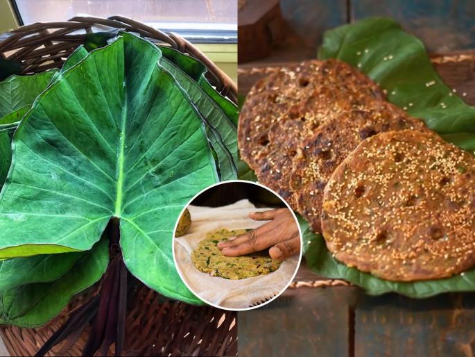 Aluchya Pananchya Dethache Thalipeeth Taro Leaves Thalipith Aluchya Pananche Thalipith Reciep | अळूच्या पानांचे खमंग, खुसखुशीत थालीपीठ! सकाळच्या नाश्त्याला झटपट होणारा पौष्टिक पदार्थ - ही घ्या रेसिपी...