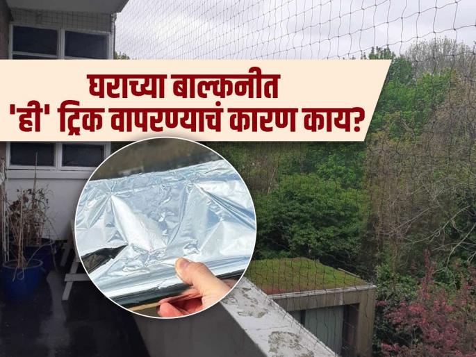 Why are people keeping aluminium foil in the balcony of their house | घराच्या बाल्कनीत Aluminium फॉइल ठेवण्याचा व्हायरल ट्रेंड, कबूतरं पळवून लावण्यासाठी भन्नाट युक्ती