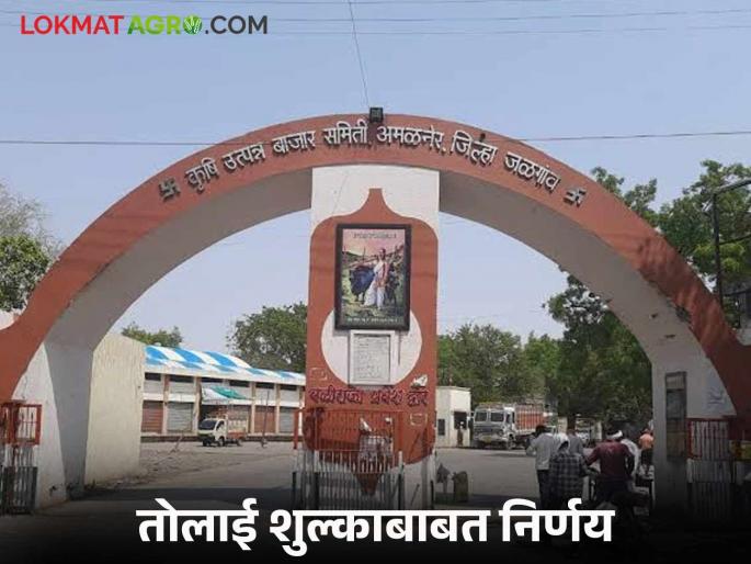 Latest news Agriculture News Tolai fee to be stopped, Amalner Market Committee decides read in detail | Agriculture News : तोलाई शुल्क घेणे होणार बंद, 'या' बाजार समितीचा निर्णय, वाचा सविस्तर  Latest news Agriculture News Tolai fee to be stopped, Amalner Market Committee decides read in detail | Agriculture News : तोलाई शुल्क घेणे होणार बंद, 'या' बाजार समितीचा निर्णय, वाचा सविस्तर