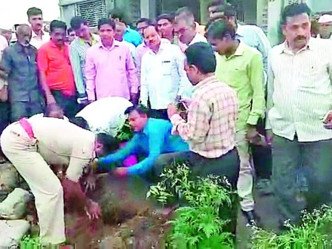 Plantation by the Yuva Mandal in Amalner | अमळनेरात युवा मंडळातर्फे वृक्षारोपण Plantation by the Yuva Mandal in Amalner | अमळनेरात युवा मंडळातर्फे वृक्षारोपण