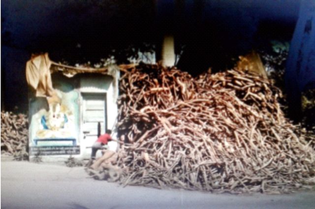 Death rising every moment, enough shelter in the cemetery! | क्षणाक्षणाला वाढतेय मरण, स्मशानात पुरेना सरण ! Death rising every moment, enough shelter in the cemetery! | क्षणाक्षणाला वाढतेय मरण, स्मशानात पुरेना सरण !