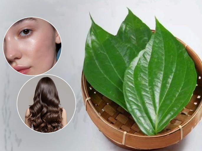 amazing health benefits of eating betel leaf, proper method of eating betel leaf  | रोज 'या' पद्धतीने विड्याचं पान खा- तब्येतीच्या कित्येक तक्रारी कमी होऊन सौंदर्यही खुलेल