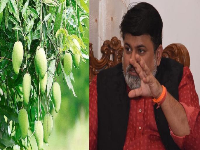 .So the power was cut off, Minister Uday Samant was also shocked by the reply of the officials | ..म्हणून वीज तोडली, अधिकाऱ्यांच्या उत्तराने मंत्री उदय सामंतही चक्रावले .So the power was cut off, Minister Uday Samant was also shocked by the reply of the officials | ..म्हणून वीज तोडली, अधिकाऱ्यांच्या उत्तराने मंत्री उदय सामंतही चक्रावले