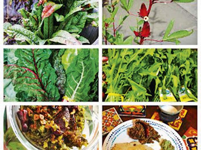 Journey of vegitable Ambadi from India to America, an interesting experience shared by Amruta Hardikar | अंबाडी पुराण! Journey of vegitable Ambadi from India to America, an interesting experience shared by Amruta Hardikar | अंबाडी पुराण!