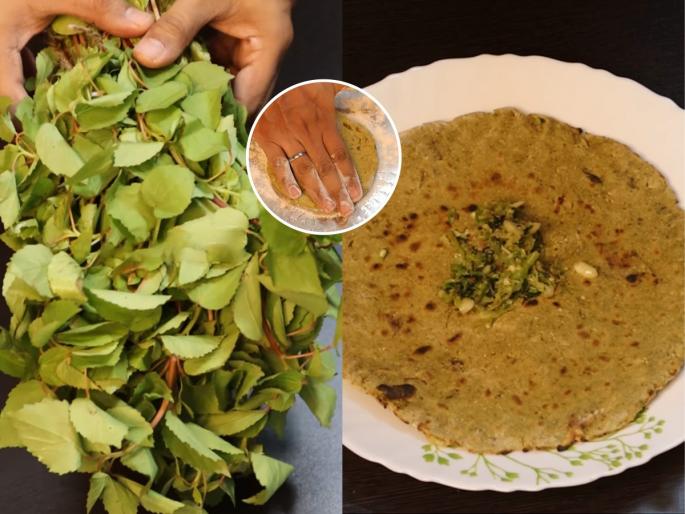 How to make Ambadi Bhakri at home Traditional Maharashtrian Ambadi Bhakri recipe Easy puffing trick for Ambadi Bhakri | पारंपरिक चवीचा गावरान ठेवा खमंग अंबाडीची भाकरी, टम्म फुगण्यासाठी सोपी ट्रिक- पाहा रेसिपी