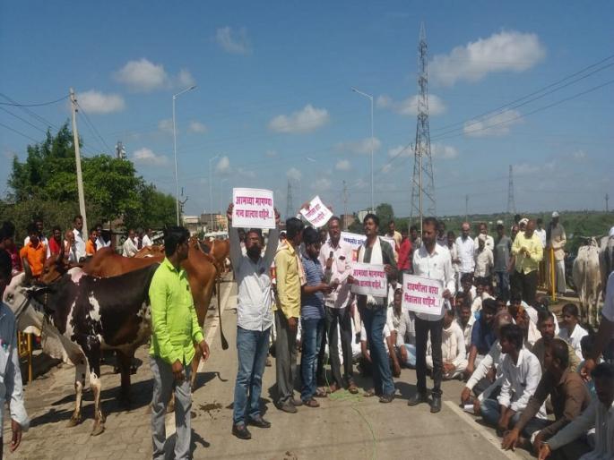 'Give fodder to the camp'; Rastroko of aggressive farmer with animals for fodder in Amabajogai | 'दावणीला चारा द्या'; चाऱ्यासाठी आक्रमक शेतकऱ्यांचा जनावरांसह रास्तारोको 'Give fodder to the camp'; Rastroko of aggressive farmer with animals for fodder in Amabajogai | 'दावणीला चारा द्या'; चाऱ्यासाठी आक्रमक शेतकऱ्यांचा जनावरांसह रास्तारोको