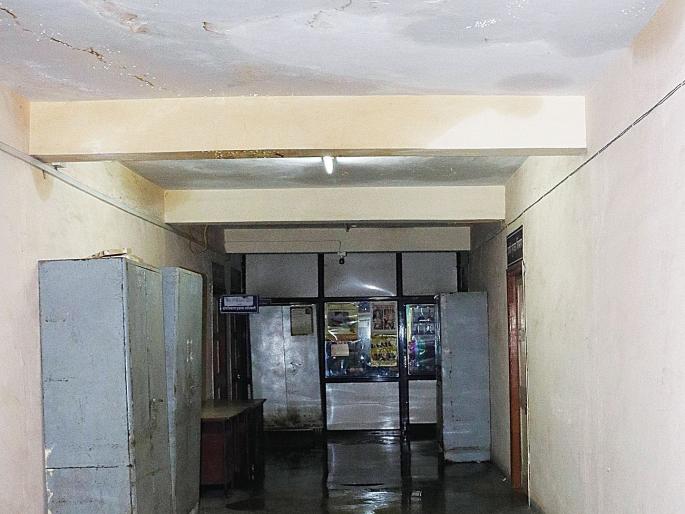 'Drip irrigation' in Ambarnath Panchayat Samiti building | अंबरनाथ पंचायत समिती इमारतीमध्ये ‘ठिबक सिंचन’ 'Drip irrigation' in Ambarnath Panchayat Samiti building | अंबरनाथ पंचायत समिती इमारतीमध्ये ‘ठिबक सिंचन’