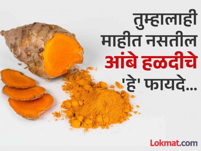 Ayurveda Dr told amazing benefits of amba haldi to fight asthma, cough, arthritis and many more | अनेक गंभीर समस्या दूर करते आंबे हळद, आयुर्वेद डॉक्टरांनी सांगितलं सेवनाची पद्धत... Ayurveda Dr told amazing benefits of amba haldi to fight asthma, cough, arthritis and many more | अनेक गंभीर समस्या दूर करते आंबे हळद, आयुर्वेद डॉक्टरांनी सांगितलं सेवनाची पद्धत...