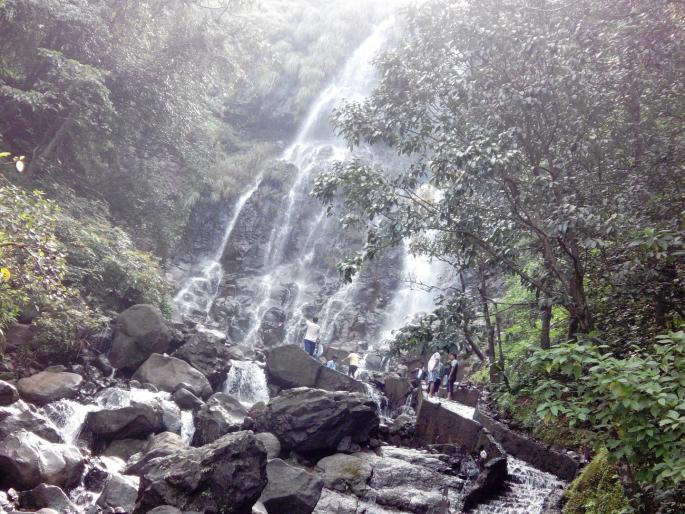 Low flow of Amboli falls, disappointment of tourists | आंबोली धबधब्याचा प्रवाह कमी, पर्यटकांची निराशा Low flow of Amboli falls, disappointment of tourists | आंबोली धबधब्याचा प्रवाह कमी, पर्यटकांची निराशा