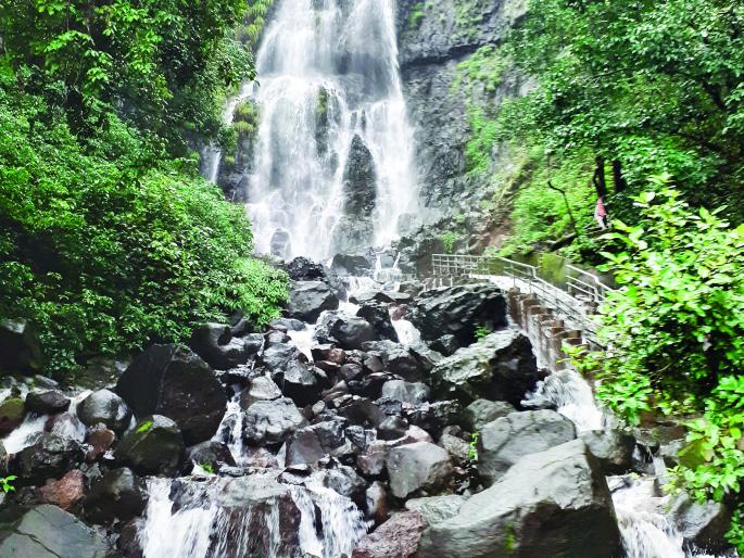 Punitive action against 26 tourists who came to Amboli | आंबोलीत आलेल्या २६ पर्यटकांवर दंडात्मक कारवाई Punitive action against 26 tourists who came to Amboli | आंबोलीत आलेल्या २६ पर्यटकांवर दंडात्मक कारवाई