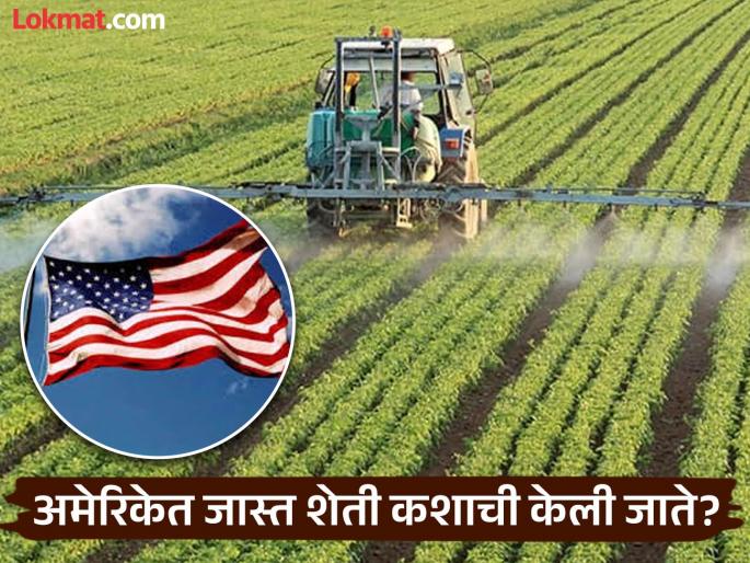 What is the most cultivated crop in America | अमेरिकेत शेतीतून कोणत्या पिकाचं सगळ्यात जास्त उत्पादन घेतलं जातं? दुसरं नाव ऐकून व्हाल अवाक् What is the most cultivated crop in America | अमेरिकेत शेतीतून कोणत्या पिकाचं सगळ्यात जास्त उत्पादन घेतलं जातं? दुसरं नाव ऐकून व्हाल अवाक्