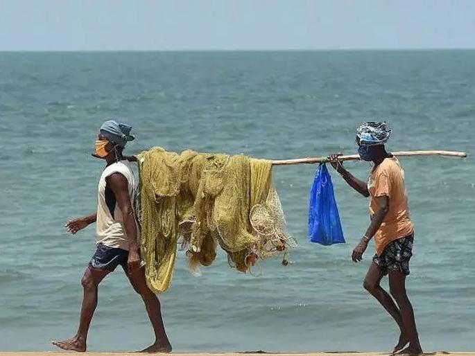 America's tariff war, fishermen in Konkan were hit, how is that? You may not know this connection... | टेरिफ वॉर अमेरिकेचे, कोकणातल्या मच्छीमारांना फटका बसला, तो कसा काय? तुम्हाला हे कनेक्शन माहितीच नसेल... America's tariff war, fishermen in Konkan were hit, how is that? You may not know this connection... | टेरिफ वॉर अमेरिकेचे, कोकणातल्या मच्छीमारांना फटका बसला, तो कसा काय? तुम्हाला हे कनेक्शन माहितीच नसेल...