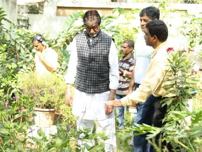 amitabh bachchan visits cooper hospital praises farm house made from garbage waste | कूपर रुग्णालयात कचऱ्यातून फुलवलेल्या फार्म हाऊसचं बिग बींकडून कौतुक amitabh bachchan visits cooper hospital praises farm house made from garbage waste | कूपर रुग्णालयात कचऱ्यातून फुलवलेल्या फार्म हाऊसचं बिग बींकडून कौतुक