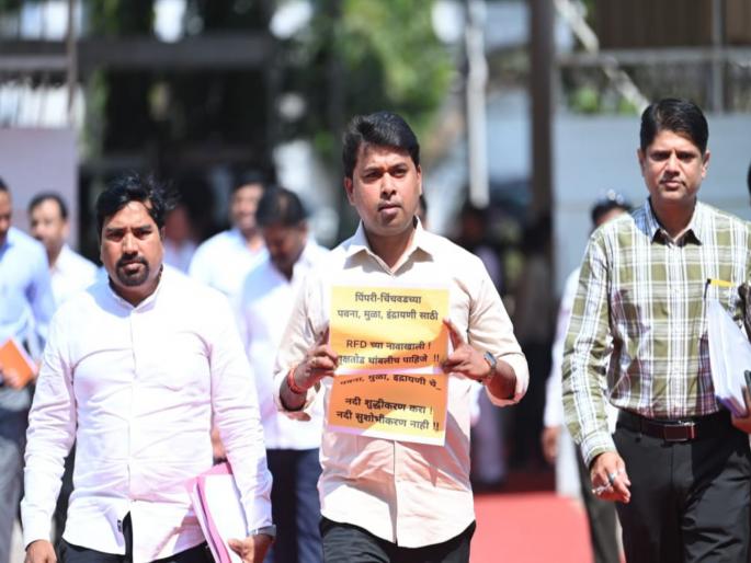 Tree cutting in the basins of Pavana Mula Indrayani river must stop Ruling party MLA's protest in the Assembly | पवना, मुळा, इंद्रायणीच्या पात्रातील वृक्षतोड थांबलीच पाहिजे! विधानसभेत सत्ताधारी पक्षाच्या आमदाराचे आंदोलन Tree cutting in the basins of Pavana Mula Indrayani river must stop Ruling party MLA's protest in the Assembly | पवना, मुळा, इंद्रायणीच्या पात्रातील वृक्षतोड थांबलीच पाहिजे! विधानसभेत सत्ताधारी पक्षाच्या आमदाराचे आंदोलन