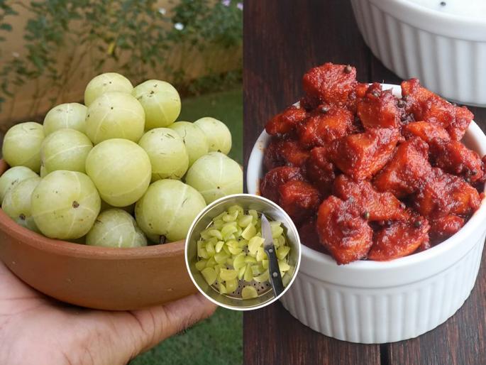 Make nutritious amla pickle in no time - delicious in taste and very beneficial for health | झटपट करा आवळ्याचे पौष्टिक लोणचे - चवीला मस्त आणि आरोग्यासाठी अतिशय उपयुक्त