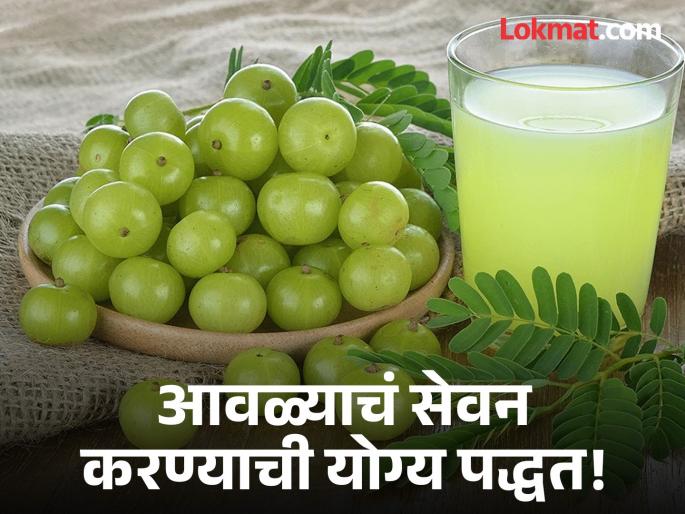 How to consume Amla according to Ayurveda? | आयुर्वेदानुसार आवळ्याचं सेवन कसं करावं? जाणून घ्या काय म्हणाले एक्सपर्ट! How to consume Amla according to Ayurveda? | आयुर्वेदानुसार आवळ्याचं सेवन कसं करावं? जाणून घ्या काय म्हणाले एक्सपर्ट!