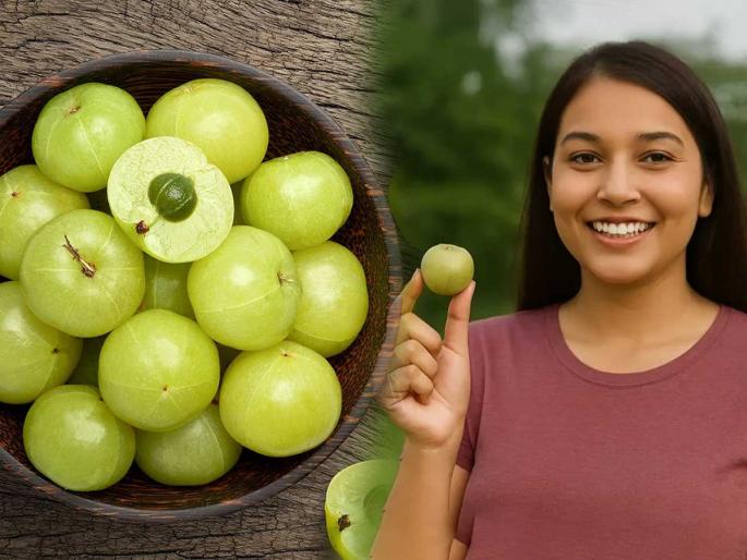 Eat fresh amla every day in winter, you won't get a single disease throughout the year, and you'll even start liking the taste. | हिवाळ्यात रोज ‘असा’ खा ताजाताजा आवळा, वर्षभर एक आजार होणार नाही, तूरट चवही आवडू लागेल Eat fresh amla every day in winter, you won't get a single disease throughout the year, and you'll even start liking the taste. | हिवाळ्यात रोज ‘असा’ खा ताजाताजा आवळा, वर्षभर एक आजार होणार नाही, तूरट चवही आवडू लागेल