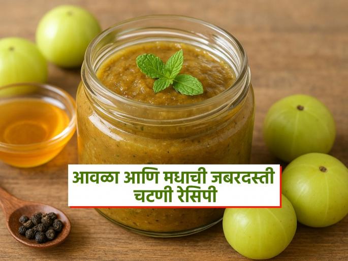 Amla and honey chutney for winter know how to make this recipe | हिवाळ्यात वरदान ठरते आवळा आणि मधाची 'ही' चटणी, टेस्टी तर लागेलच तब्येतही ठेवेल ठणठणीत