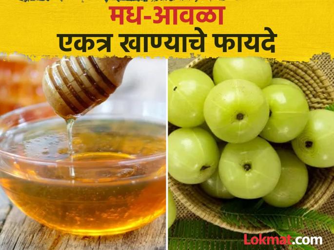 Amazing benefits of amla dipped in honey in winter | थंडीच्या दिवसात आवळे आणि मध एकत्र खाल्ल्याने काय होतं? वाचाल तर रोज खाल! Amazing benefits of amla dipped in honey in winter | थंडीच्या दिवसात आवळे आणि मध एकत्र खाल्ल्याने काय होतं? वाचाल तर रोज खाल!