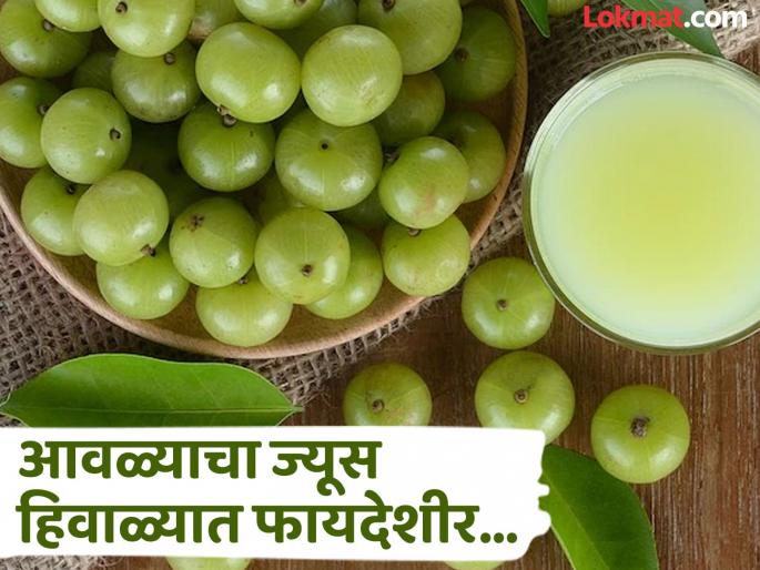 How much Amla juice can be had every day ibn winter and its benefits | हिवाळ्यात आवळा ज्यूस पिण्याचे जबरदस्त फायदे, जाणून घ्या कसा बनवला आणि किती करावं सेवन! How much Amla juice can be had every day ibn winter and its benefits | हिवाळ्यात आवळा ज्यूस पिण्याचे जबरदस्त फायदे, जाणून घ्या कसा बनवला आणि किती करावं सेवन!