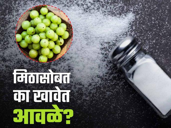 Doctor said Amla must be consumed with salt, know the reason | नेहमी मिठासोबतच खावेत आवळे, डॉक्टरांनी सांगितलं यामागचं कारण! Doctor said Amla must be consumed with salt, know the reason | नेहमी मिठासोबतच खावेत आवळे, डॉक्टरांनी सांगितलं यामागचं कारण!