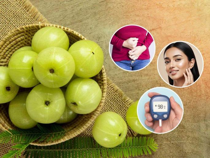 special way of eating amla by dietitian for maximum benefits how to eat amla for best results dietitian approved way to eat amla | महिलांच्या तब्येतीच्या अनेक तक्रारींसाठी आवळा सुपरफूड! रोज चमचाभर 'अशा' पद्धतीने खा - निरोगी रहाण्यासाठी आवळा आहारात हवाच... special way of eating amla by dietitian for maximum benefits how to eat amla for best results dietitian approved way to eat amla | महिलांच्या तब्येतीच्या अनेक तक्रारींसाठी आवळा सुपरफूड! रोज चमचाभर 'अशा' पद्धतीने खा - निरोगी रहाण्यासाठी आवळा आहारात हवाच...