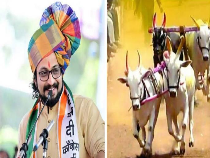 Amol Kolhe words will come true in bull cart race in pune | 'तुमचा पठ्ठ्या घोडी धरणार म्हणजे धरणार', अमोल कोल्हे दिलेला शब्द आज सत्यात उतरवणार Amol Kolhe words will come true in bull cart race in pune | 'तुमचा पठ्ठ्या घोडी धरणार म्हणजे धरणार', अमोल कोल्हे दिलेला शब्द आज सत्यात उतरवणार