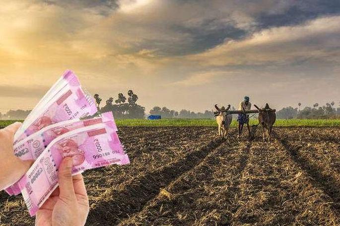 AKOLA : Amount of Debt waiver to be deposit in farmers account | कर्जमाफीची रक्कम शेतकऱ्यांच्या खात्यात जमा करण्याची चाचणी अकोल्यात! AKOLA : Amount of Debt waiver to be deposit in farmers account | कर्जमाफीची रक्कम शेतकऱ्यांच्या खात्यात जमा करण्याची चाचणी अकोल्यात!
