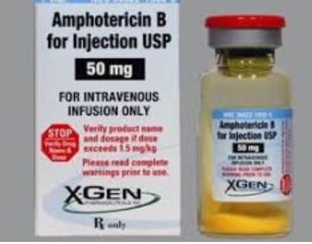 In Nagpur, 1150 injections of Amphotericin B were received | नागपुरात ‘अॅम्पोटेरीसीन बी’चे मिळाले ११५० इंजेक्शन In Nagpur, 1150 injections of Amphotericin B were received | नागपुरात ‘अॅम्पोटेरीसीन बी’चे मिळाले ११५० इंजेक्शन