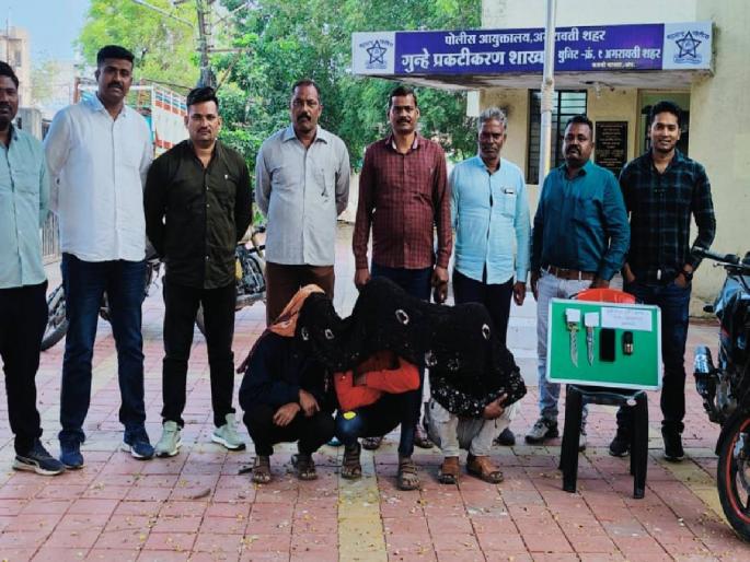 The police foiled the robbery plan, the trio of thieves were jailed last night | पोलिसांनी उधळला दरोड्याचा डाव, अध्या रात्री चोरांचे त्रिकूट जेरबंद The police foiled the robbery plan, the trio of thieves were jailed last night | पोलिसांनी उधळला दरोड्याचा डाव, अध्या रात्री चोरांचे त्रिकूट जेरबंद