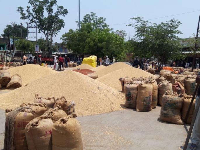 new soybean arrived in market and the price fell by five hundred | नवे सोयाबीन आले अन् पाचशेने भाव पडले; मुहूर्तालाच घसरण new soybean arrived in market and the price fell by five hundred | नवे सोयाबीन आले अन् पाचशेने भाव पडले; मुहूर्तालाच घसरण