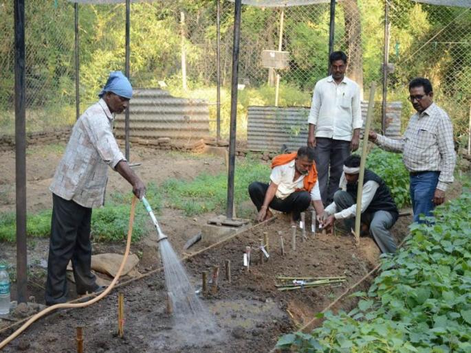 Bamboo Plants in Amravati Bamboo Plant | अमरावतीच्या बांबू प्लांटमध्ये विमानाने आली रोपे Bamboo Plants in Amravati Bamboo Plant | अमरावतीच्या बांबू प्लांटमध्ये विमानाने आली रोपे