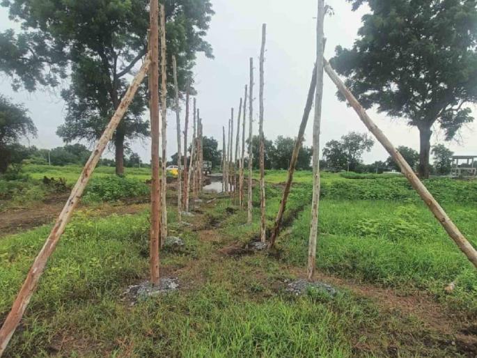 Wildlife Trap' by Boma' Method at Belora Airport, Amravati | अमरावतीच्या बेलोरा विमानतळावर ‘बोमा’ पद्धतीने वन्यप्राण्यांचे ‘ट्रॅप’; राज्यात पहिलाच प्रयोग Wildlife Trap' by Boma' Method at Belora Airport, Amravati | अमरावतीच्या बेलोरा विमानतळावर ‘बोमा’ पद्धतीने वन्यप्राण्यांचे ‘ट्रॅप’; राज्यात पहिलाच प्रयोग