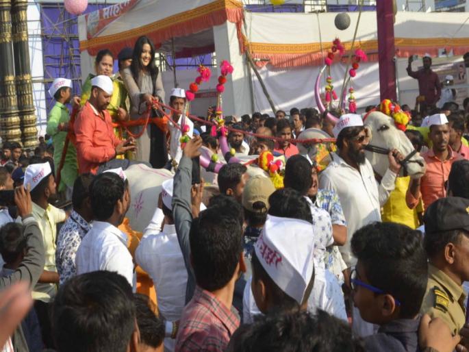 When the discussion is going on, brother .. When the Chief Minister launches a bullock cart .. | चर्चा तर होणार ना भाऊ.. जेव्हा मुख्यमंत्र्याच्या सौभाग्यवती बैलगाडी चालवितात..... When the discussion is going on, brother .. When the Chief Minister launches a bullock cart .. | चर्चा तर होणार ना भाऊ.. जेव्हा मुख्यमंत्र्याच्या सौभाग्यवती बैलगाडी चालवितात.....