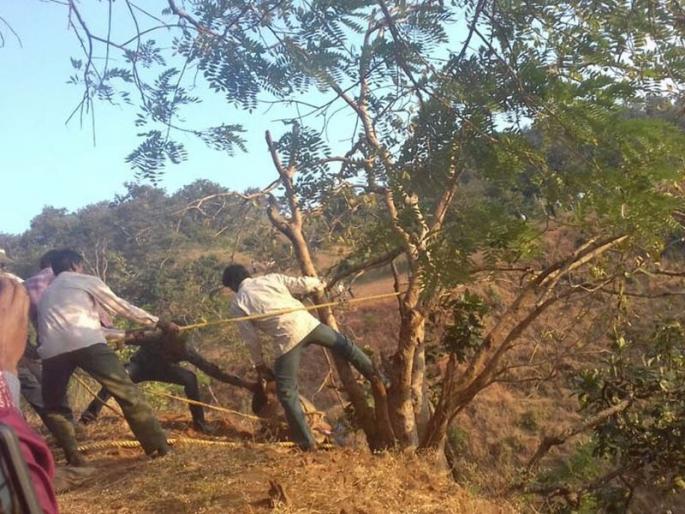 The death of both of them collapsed from the Panchbol point, and the crumbling goblin ran behind the monkey | पंचबोल पॉइंटवरून कोसळून दोघांचा मृत्यू, माकडाच्या मागे धावताना कोसळले दरीत The death of both of them collapsed from the Panchbol point, and the crumbling goblin ran behind the monkey | पंचबोल पॉइंटवरून कोसळून दोघांचा मृत्यू, माकडाच्या मागे धावताना कोसळले दरीत