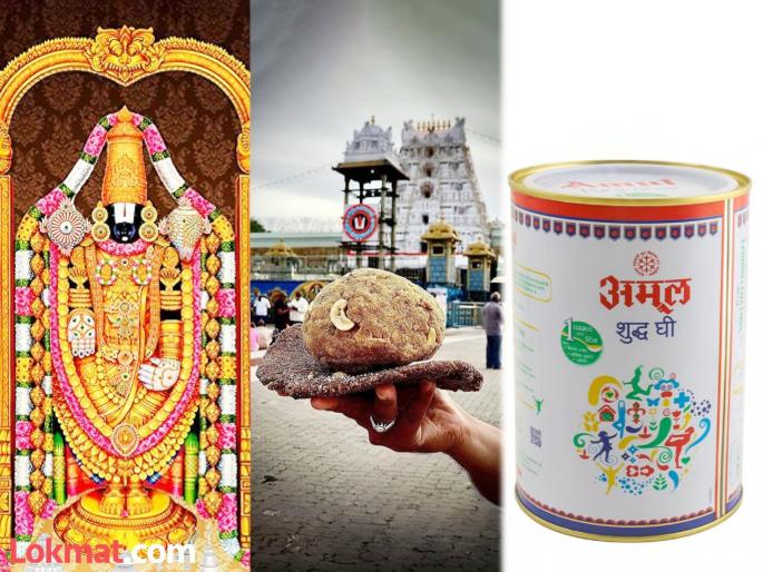 tirumala tirupati laddu controversy amul company make clear that we have never supplied amul ghee to tirumala tirupati devasthanam | “अमूल तूप कधीही तिरुपतीला पाठवलेले नाही”; लाडू प्रसाद वादावर कंपनीने दिले स्पष्टीकरण tirumala tirupati laddu controversy amul company make clear that we have never supplied amul ghee to tirumala tirupati devasthanam | “अमूल तूप कधीही तिरुपतीला पाठवलेले नाही”; लाडू प्रसाद वादावर कंपनीने दिले स्पष्टीकरण