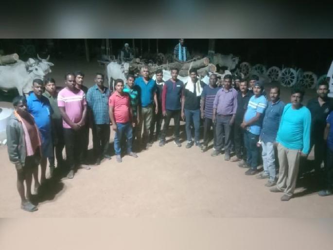 skirmish in Sironcha, Stones pelted on forest personnel by smugglers; 31 timber seized along with 7 bullock carts | वनकर्मचाऱ्यांवर दगडांचा मारा, हवेत गोळीबार करताच तस्कारांचा पोबारा skirmish in Sironcha, Stones pelted on forest personnel by smugglers; 31 timber seized along with 7 bullock carts | वनकर्मचाऱ्यांवर दगडांचा मारा, हवेत गोळीबार करताच तस्कारांचा पोबारा