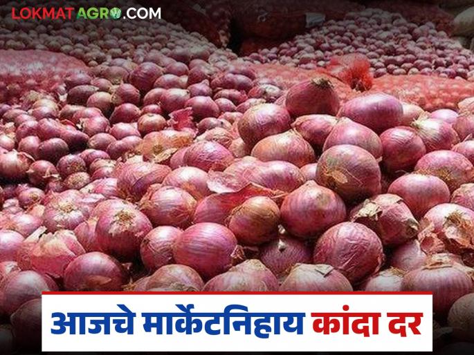 Latest News Kanda Market No improvement in onion prices, read market prices of October 10 | Kanda Market : दिवाळी तोंडावर, कांदा दर काही वाढेनात, वाचा 10 ऑक्टोबरचे बाजारभाव