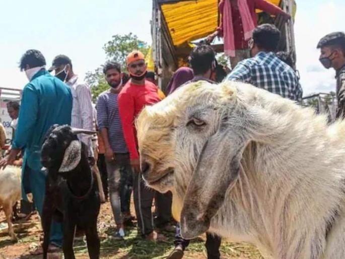 andhra pradesh chittoor man slaughtered during animal sacrifice | भयंकर! भयानक!! बळी देताना बकऱ्याऐवजी कापला बोकड धरणाऱ्याचा गळा andhra pradesh chittoor man slaughtered during animal sacrifice | भयंकर! भयानक!! बळी देताना बकऱ्याऐवजी कापला बोकड धरणाऱ्याचा गळा